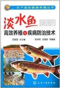 淡水鱼高效养殖与疾病防治技术