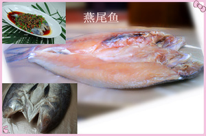 【海鳝鱼】海鳝鱼价格/图片_海鳝鱼批发/采购_海鳝鱼厂家/供应商