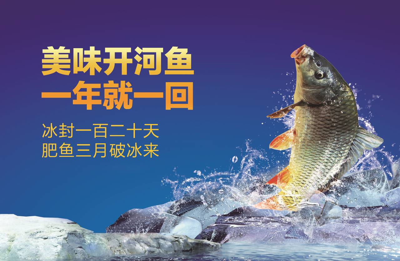 【北京福利】西贝开河鱼,一年就等这一鲜!
